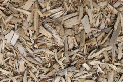 biomass boilers Gillen